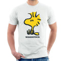 Peanuts Woodstock Sat Down Men's T-Shirt product image 1