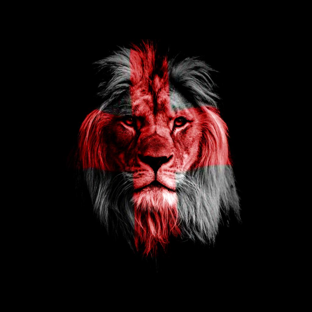 England Football Lion Cross Men's T-Shirt product image 2