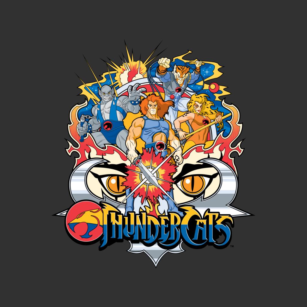 Thundercats Character Montage Kid's Hooded Sweatshirt product image 2